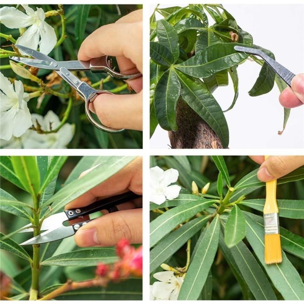 Spade Digging Fork - Conjunto de Ferramentas de Jardinagem Multifuncional
