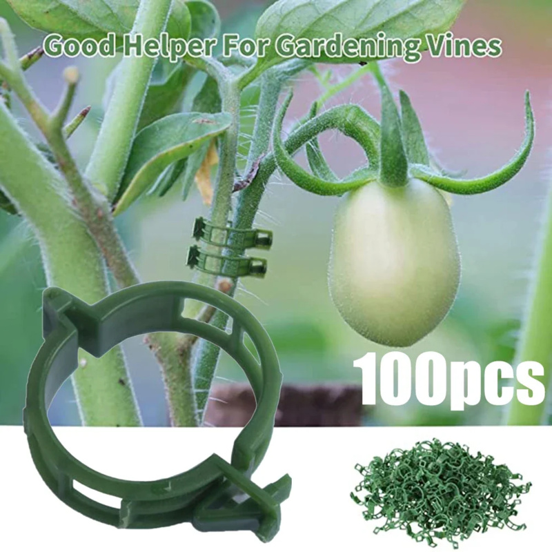 Gardening Tools Usa - Plante os grampos do apoio, 100