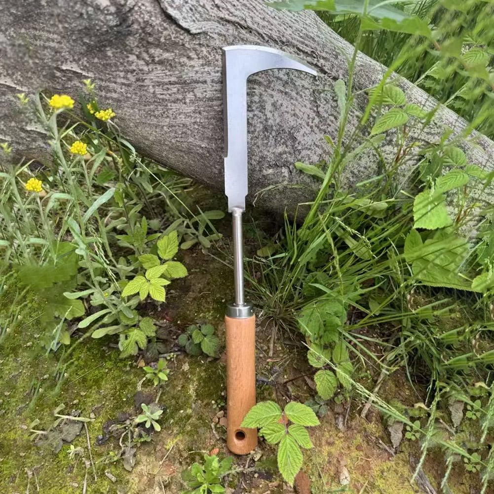 Ferramenta de Aço Inoxidável p - Gardening Tools Used For Weeding avaliação e preço