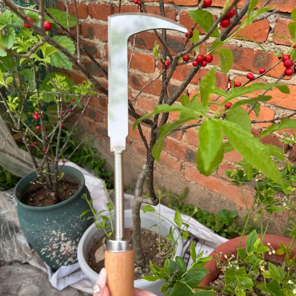 Ferramenta de Aço Inoxidável p - Gardening Tools Used For Weeding avaliação e preço