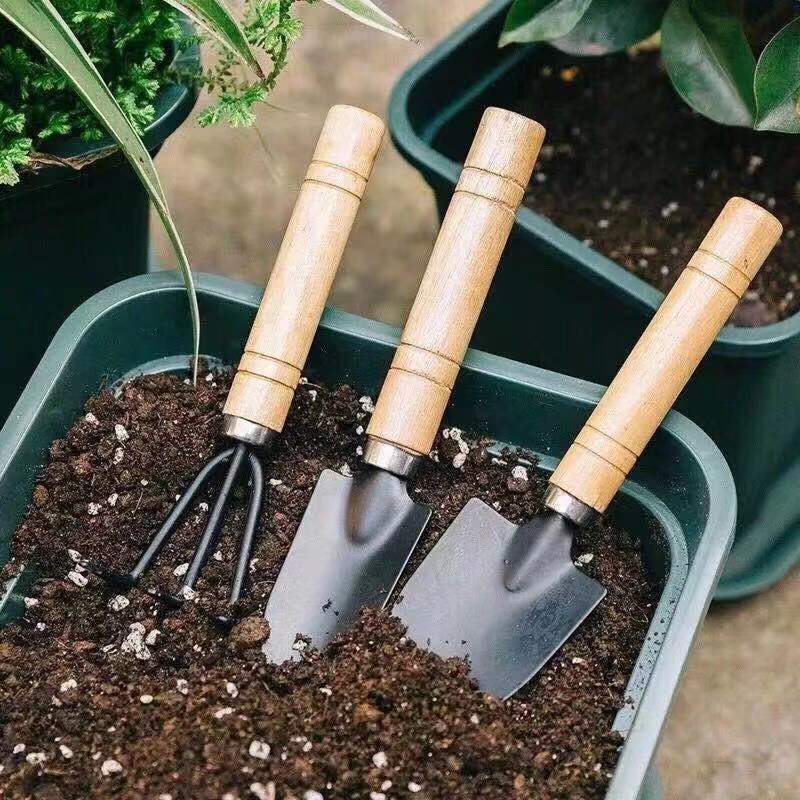 3pc/1 conjunto mini conjunto d - Gardening Tools Usa avaliação e preço