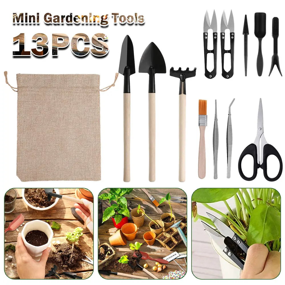 Indoor suculentas plantas conj - Gardening Tools Kit For Home Garden avaliação e preço