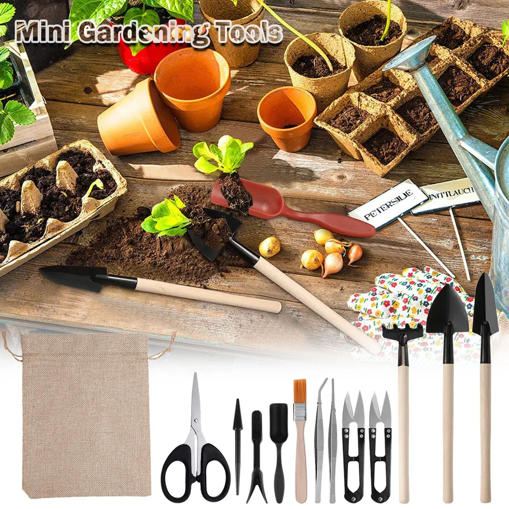 Indoor suculentas plantas conj - Gardening Tools Kit For Home Garden avaliação e preço