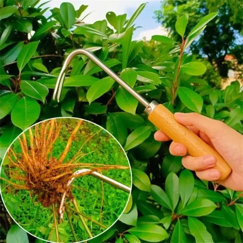 Aço inoxidável jardinagem capi - Gardening Tools To Remove Weeds avaliação e preço