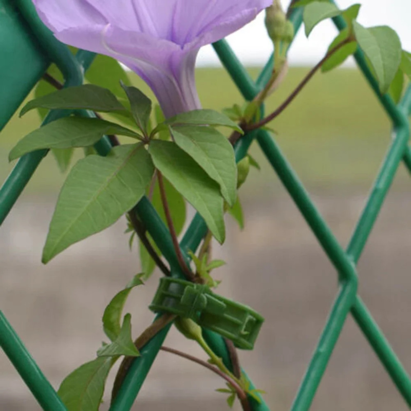 Plante os grampos do apoio, 10 - Gardening Tools Usa avaliação e preço