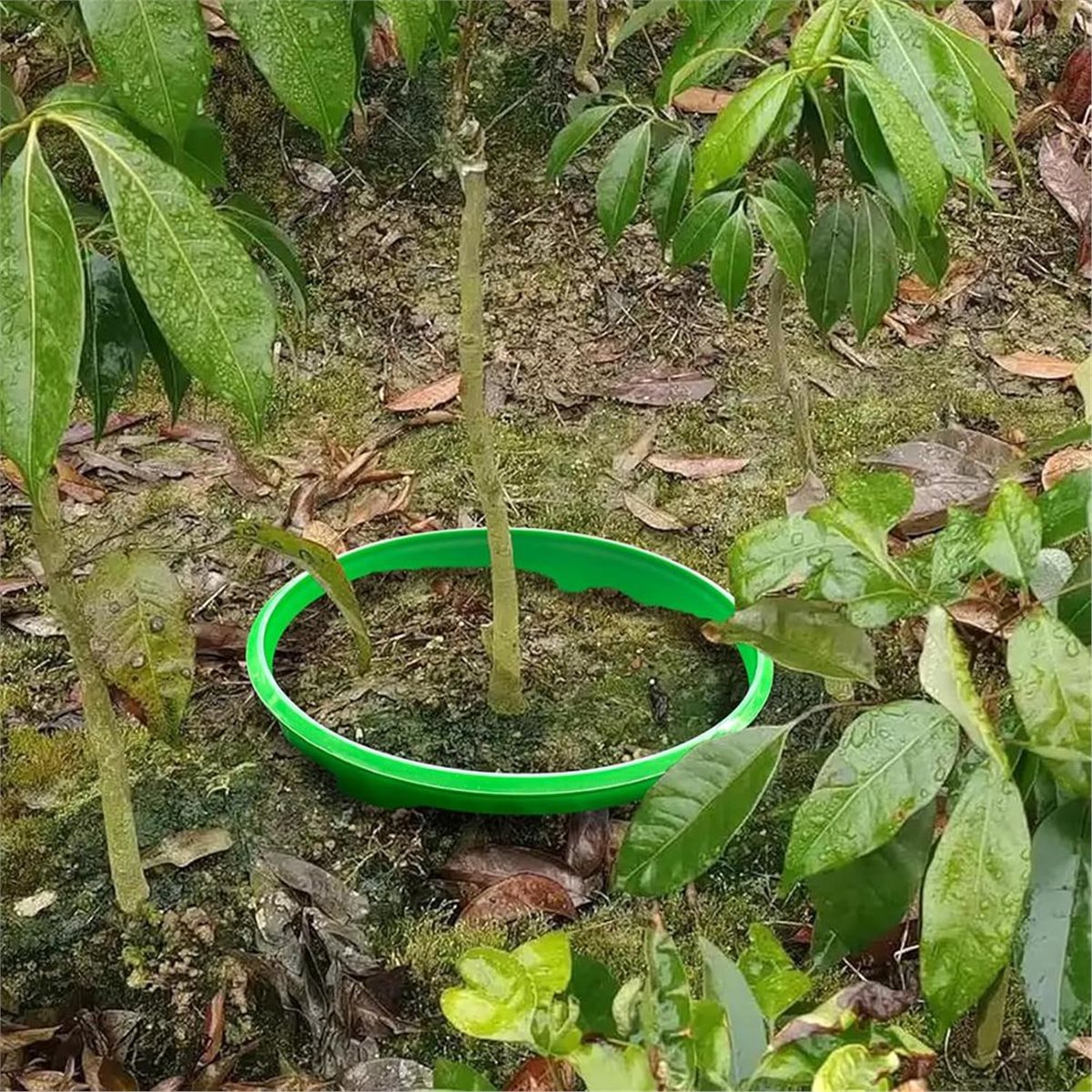 Grande Desconto: 4 Anéis Prote - Gardening Tools Big avaliação e preço