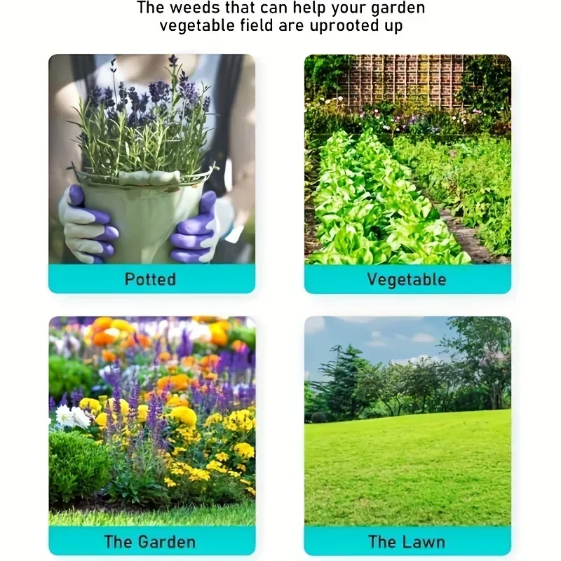 Cabeça de capina preta, substi - Gardening Tools To Remove Weeds avaliação e preço