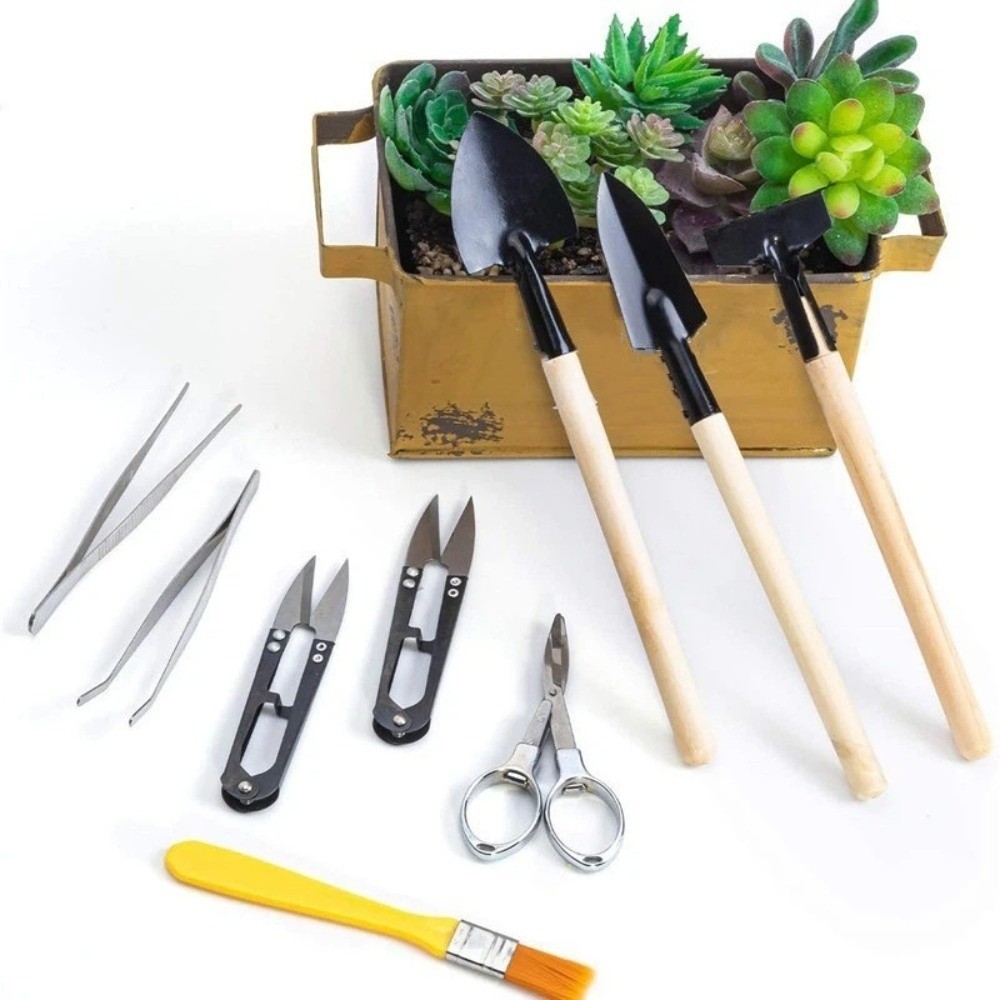 Conjunto de Ferramentas de Jar - Spade Digging Fork avaliação e preço