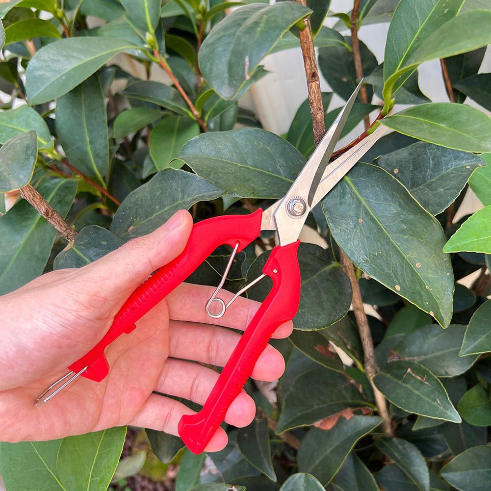 Tesoura de Poda Profissional p - Gardening Tools Usa avaliação e preço
