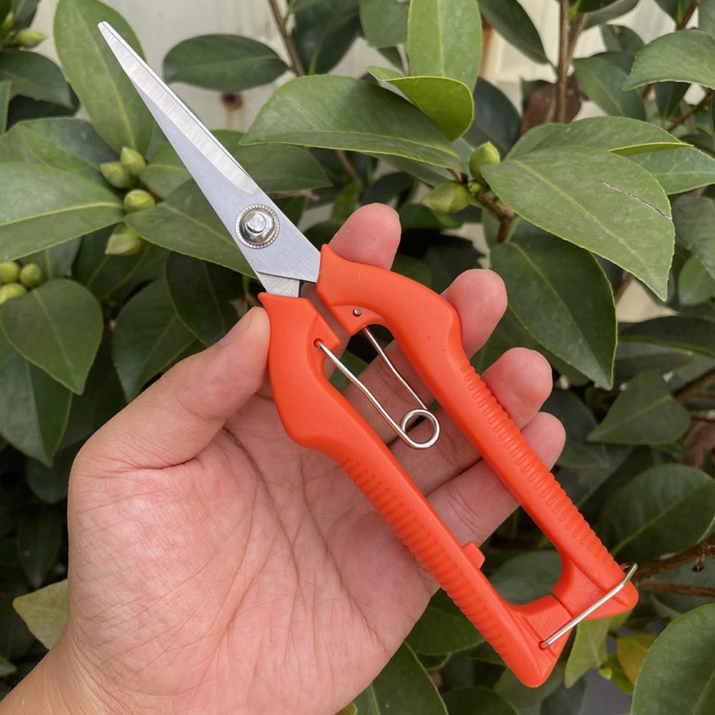 Tesoura de Poda Profissional p - Gardening Tools Usa avaliação e preço