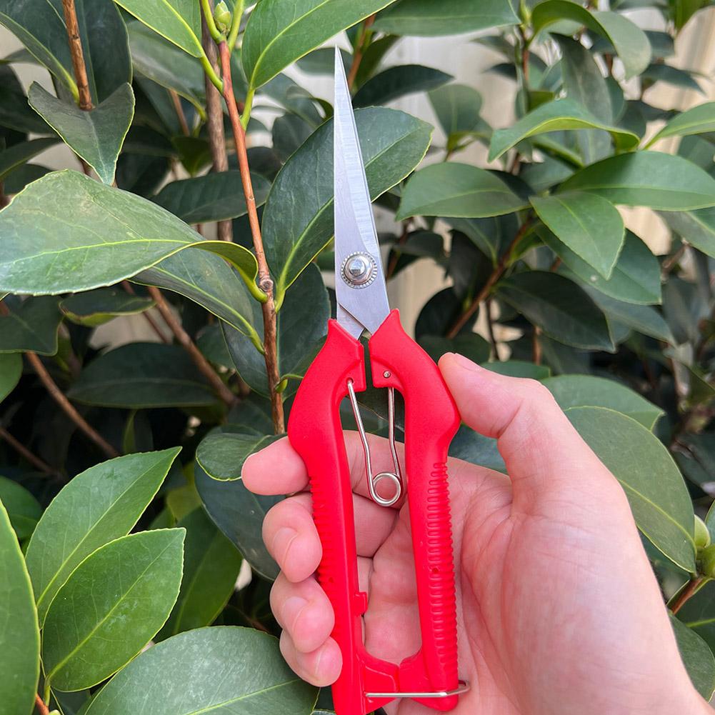 Tesoura de Poda Profissional p - Gardening Tools Usa avaliação e preço