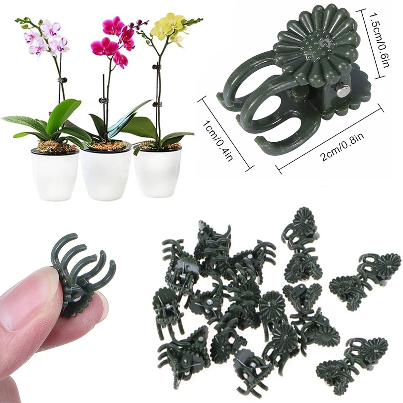 Plant Clips para Enxerto, Vine - Gardening Tools Usa avaliação e preço