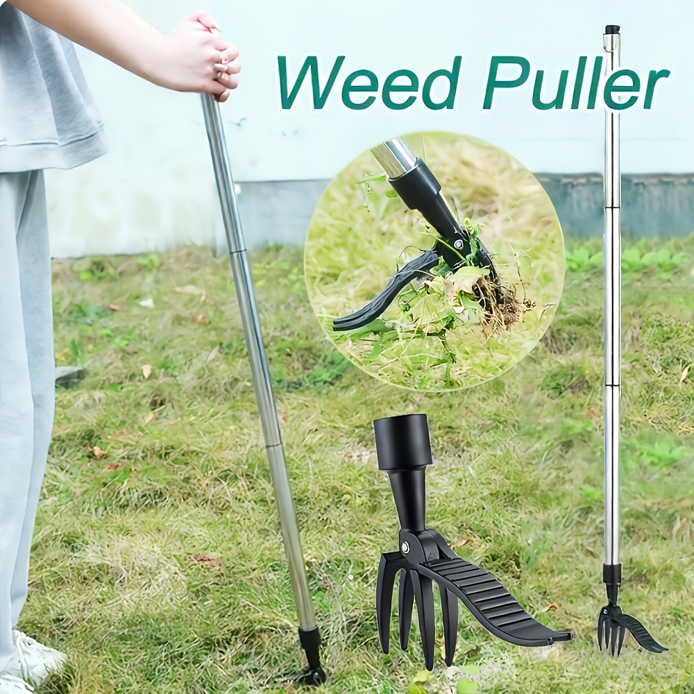 Removedor de ervas daninhas ve - Gardening Tools To Remove Weeds avaliação e preço